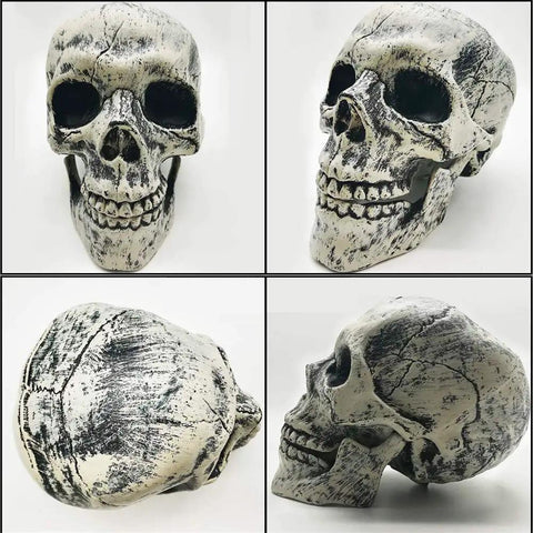 Realistic Halloween Skeleton Stakes Kit With Skull And Arm Props side and front views of black crack skeleton decor skull
