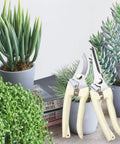 Two Pack Lightweight Garden Flower Scissors Pruning Shears For Smooth Clean Cuts On Flowers Branches And Leaves displayed with succulents