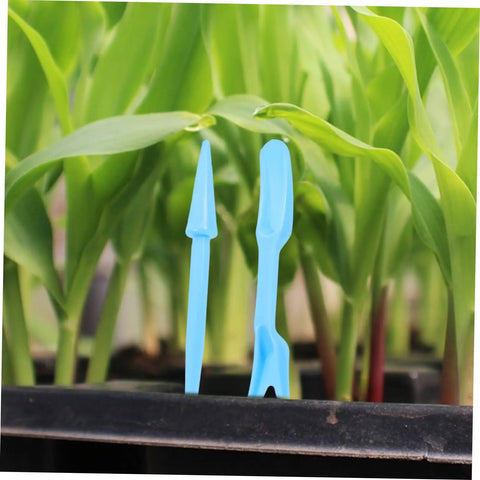 12 Piece Bonsai Tool Set For Succulents And Seedlings Durable Garden Hand Tools For Transplanting Pruning And Plant Maintenance Great For Small Spaces Indoor Gardens And Plant Lovers, blue transplant tools in seedling tray