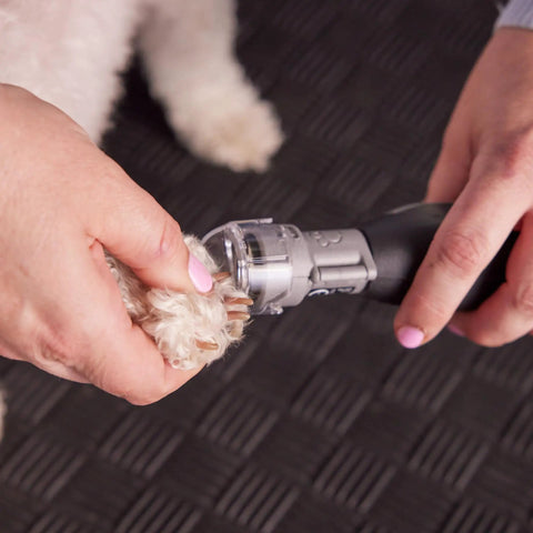 Pet Nail Guard Attachment With 45 Degree Paw Guide being used for dog nail trimming on black surface