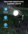 All In One Low Voltage Landscape Lights Kit With Quick Plug And Play Setup, spotlight shown in rainy garden weather.