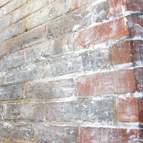One And A Half Gallon Clear Brick Sealer For Brick Stone Concrete And Masonry No Nonsense Cream Based Water Repellent Coating on brick wall