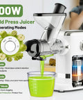 GVODE Electric Cold Press Juicer Masticating With Dual Feed Chute 700W Powerful Motor Ultra Quiet Design Anti Stuck Protection for juicing