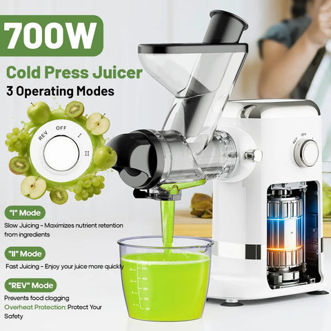 GVODE Electric Cold Press Juicer Masticating With Dual Feed Chute 700W Powerful Motor Ultra Quiet Design Anti Stuck Protection for juicing