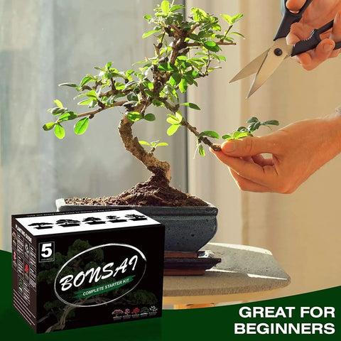 Five Piece Bonsai Tree Kit With Self Watering Pots For Indoor Growth showing bonsai pruning and kit packaging.
