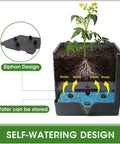 Raised Garden Bed Tomato Planter With Trellis, Self Watering System showing siphon and water storage design