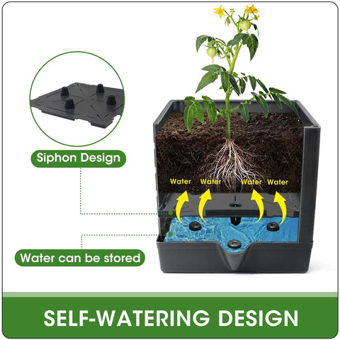 Cross-section of self watering tomato planter box showing water reservoir and siphon design.