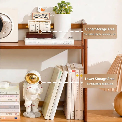Wooden shelf with books, a small astronaut figurine, and a potted plant, showcasing upper and lower storage areas.