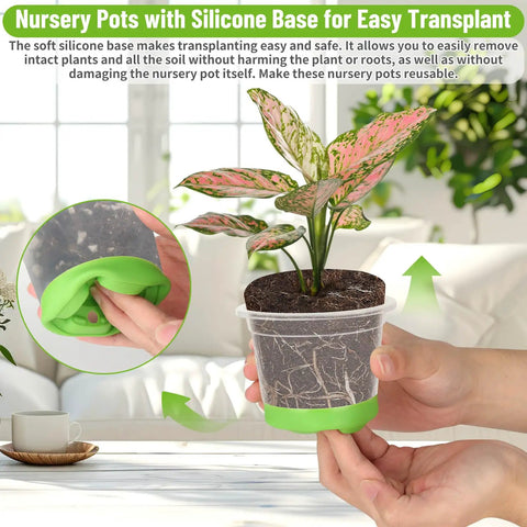 All In One Reusable Seed Starter Kit With 26 Clear 4 Inch Pots Silicone Base And Drainage For Easy Transplant shown in use
