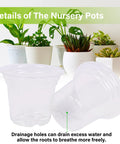 4 Inch Seed Starter Tray Set With 60 Clear Nursery Pots for seed starting indoors, showing drainage holes and plant setup.