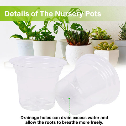 4 Inch Seed Starter Tray Set With 60 Clear Nursery Pots for seed starting indoors, showing drainage holes and plant setup.