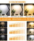 LED Desk Lamp With Swing Arm Clamp, 14W Eye Care Lighting, 3 Modes and Dimmable Brightness, USB Adapter Included