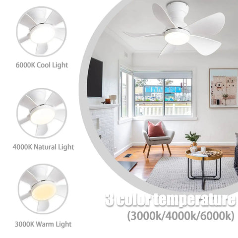 Tiny Ceiling Fan With Lights And Remote, Flush Mount, Low Profile 30 Inch, 5 Reversible Blades, 6 Speeds, White Finish in room