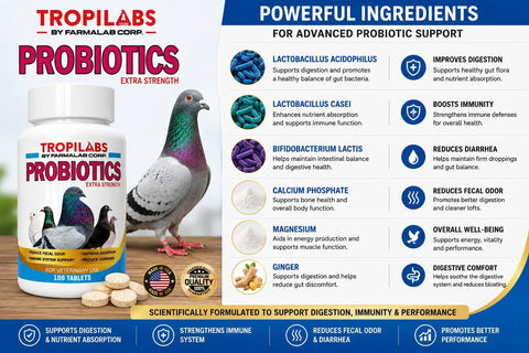Probiotics Extra Strength For Pigeons With Immune Support And Digestive Health 100 Tablets bottle and ingredients overview