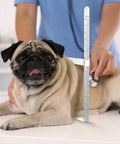 Pro Grade 16 Inch X Ray Caliper Ruler Stainless Steel Body Caliper measuring pug's body size for radiation dose check