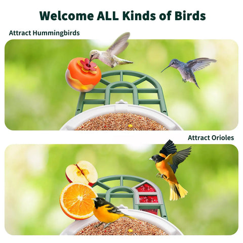 Solar Powered AI Bird Feeder With Camera, 2K HD Live Stream, attracting hummingbirds and orioles with fruit.