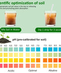 Diagram showing pH testing process from 100 Pack Soil PH Test Kit With Litmus Paper Strips For Quick No Fuss Home Garden Testing Easy PH Tester For Soil From 3.5 To 9.0 Range Ideal For Lawn Grass Flowers Veggies Compost And Dirt with soil, water, and pH scale.