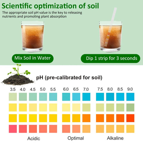 Diagram showing pH testing process from 100 Pack Soil PH Test Kit With Litmus Paper Strips For Quick No Fuss Home Garden Testing Easy PH Tester For Soil From 3.5 To 9.0 Range Ideal For Lawn Grass Flowers Veggies Compost And Dirt with soil, water, and pH scale.