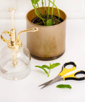 Cutter Bee Precision Craft Scissors With Micro Tip For Small Details next to potted plant and glass sprayer on white table.