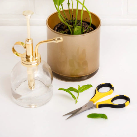 Cutter Bee Precision Craft Scissors With Micro Tip For Small Details next to potted plant and glass sprayer on white table.