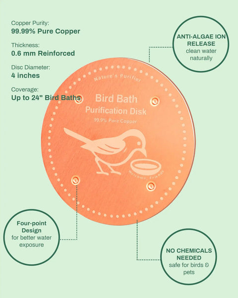 Pure Copper Bird Bath Purification Disk With Solar Power Heater Deicer For Outdoor Baths Keeps Water Clean And Bird Safe, front view