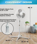 Three Speed 16 Inch Oscillating Pedestal Fan With 90 Degree Head Adjustable Height And Tilt Powerful Airflow For Home Or Office Perfect For Dorms And Living Rooms Black MTFS-16B-BLK shown in living room setting