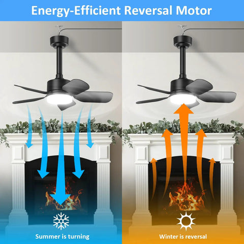 Compact Ceiling Fan With Light And Remote For Outdoor Spaces, 20 Inch, 30W, 2000 Lumens, energy-efficient reversal motor