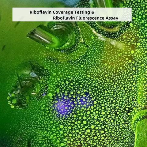 Green and blue fluorescence from riboflavin coverage testing and fluorescence assay.