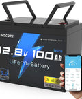 12V 100Ah LiFePO4 Battery With Bluetooth 5.0 And 100A BMS Low Temp Protection displayed with app interface
