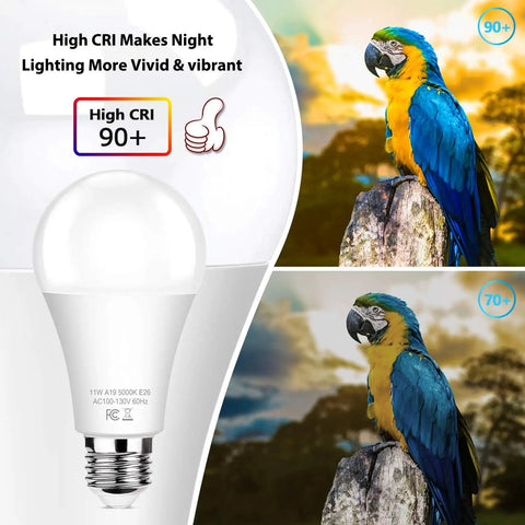 Image comparing two parrots under different CRI lighting with Six Pack Dusk To Dawn A19 LED Light Bulbs 11W 1200 Lumens 100 Watt Equivalent E26