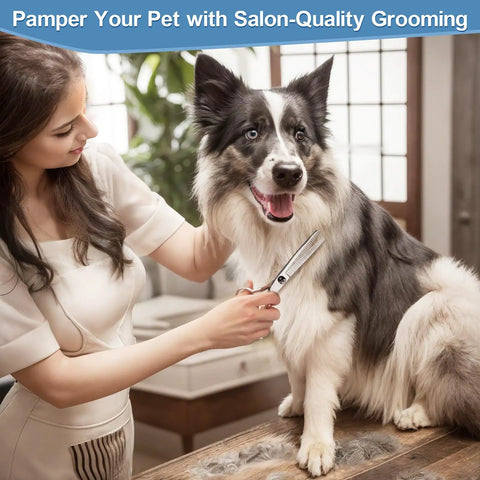 Titanium Coated Pro 6 In 1 4CR Stainless Steel Dog Grooming Scissors With Safety Round Tip Heavy Duty Pet Grooming Shears For Dogs Cats And Other Animals, thinning scissors on dog
