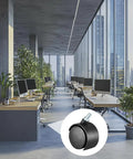 Hella Smooth Black Nylon Twin Wheel Furniture Casters 4 Pack shown in modern office setting with desks and plants.