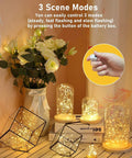 24 Pack Battery Operated Fairy Lights With 3 Modes, 7 Foot Long Silver Wire 20 LED Mini Twinkle String Lights in glass domes