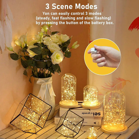 24 Pack Battery Operated Fairy Lights With 3 Modes, 7 Foot Long Silver Wire 20 LED Mini Twinkle String Lights in glass domes