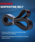 Premium 8PK1865 Serpentine Belt For Toyota Tundra 5.7L Engines Fits 2009 to 2011 Models, showing durable design and rib profile.