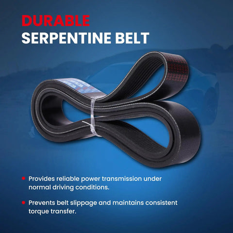 Premium 8PK1865 Serpentine Belt For Toyota Tundra 5.7L Engines Fits 2009 to 2011 Models, showing durable design and rib profile.