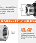 Close-up of hydraulic ORB to NPTF adapters with thread details.