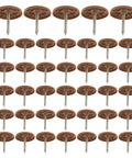 Top Tier Round Cap Roofing Nails With Insulation Washers Brown House Wrap Fasteners For Felt Foam Board and Weather Guard Sheathing 200 Piece Kit displayed in rows.