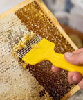 Beekeeping Tools Kit Pro Grade Two Piece Set with Stainless Steel Uncapping Fork lifting wax on honeycomb