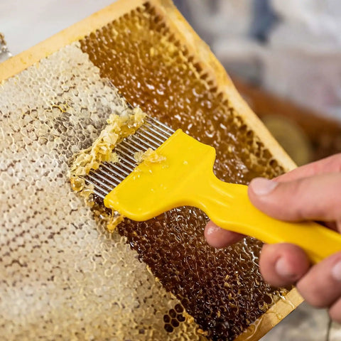 Beekeeping Tools Kit Pro Grade Two Piece Set with Stainless Steel Uncapping Fork lifting wax on honeycomb