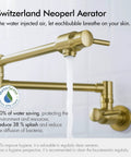 Pot Filler Wall Mounted Faucet With Double Jointed Swing Arm And Two Lever Handles In Brass, 23.4 Inch Reach, Brushed Dark Gold PVD Finish, Easy To Clean, 360 Degree Swivel, Ideal For Home Or Restaurant Kitchen with water flow