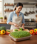 Woman in kitchen using No Fuss Seed Sprouting Kit With Lid For Home Grow, 10.4 Inch Stainless Steel Soilless Germination Tray.