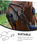 Horse wearing a bridle with stainless steel tie ring and stirrup, part of Stainless Steel Horse Stirrup And Tie Ring Set For Trailers And Show Ready Riders Durable Trailer Accessory Clip With Comfortable Ride Support Classic Show Tack Essential For Trails Training And Competitions.