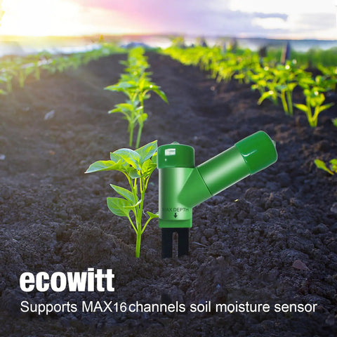 Wh51 Compatible Wireless Soil Moisture Sensor Accessory For Smart Garden Setup placed in soil with green plants.