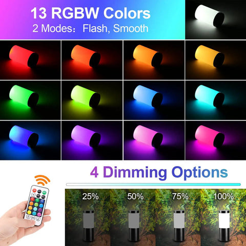 RGB Color Changing Outdoor Landscape Lights 12V Low Voltage LED Garden Pathway Lighting With Remote Control 13 Colors and 2 Modes IP65 Waterproof showcasing color and dimming options.