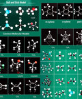 Organic Chemistry Molecular Model Kit 206pc For Middle And High School Students displaying various molecule structures