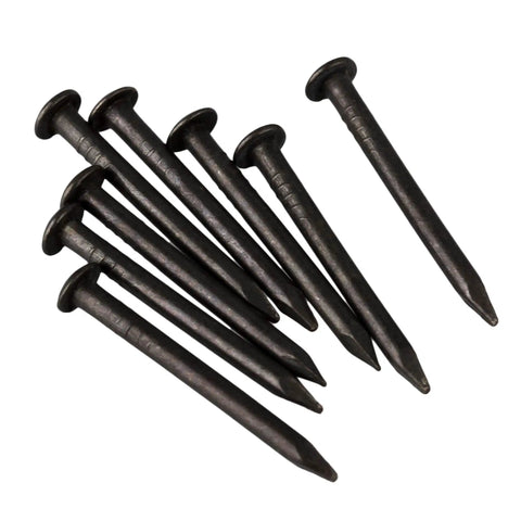 Black Round Head Miniature Wood Screws Nails For Furniture Decor 0.71 Inch Long 1.8 Cm Small Nails Pack Of 50