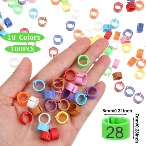 Hand holding 100 Pack 8mm Colorful Readable Leg Bands For Baby Chick And Small Birds, Clip On Identification Rings With Numbers 0 To 100