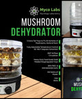 Slick 350 Watt Mushroom Dehydrator With Adjustable Temperature Control And Five Extra Tall Trays That Gonna Dry Your Fresh Herbs Hella Crisp While 360 Airflow Handles Batches Whole No Sweat Ever, showing five stacked trays with herbs and mushrooms.