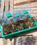 Heavy Duty Seedling Propagation Tray With Humidity Vent Dome Pro Grade Mini Greenhouse For Seeds And Clones Adjustable Vents Large 15 Capacity Starter Kit in use